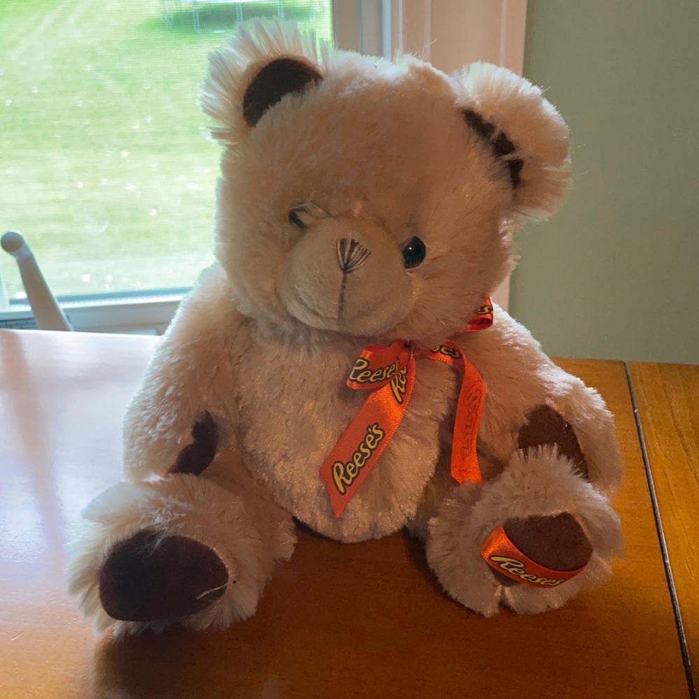 cute teddy bear